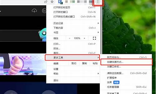 win10chrome如何使用6(windowchrome)